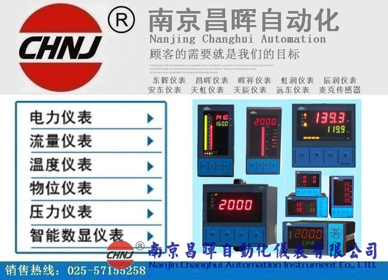 東輝儀表DY21ZE、DY22ZE、DY26ZE、DY28ZE、DY29ZE、DY2000單電量顯示儀
