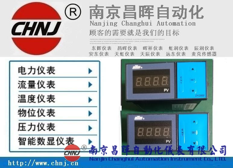 大延牌DY2000、東輝儀表、DY28B02/DY21B02/DY29B02數(shù)顯表