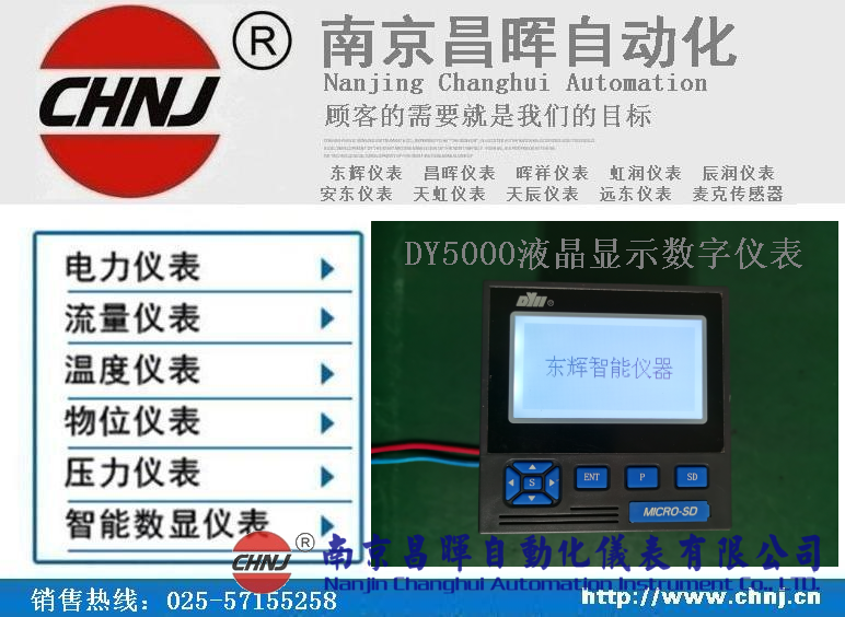 DY21ZL、DY22ZL00、DY59ZL60、DY5000（ZL）液晶顯示數(shù)字儀表